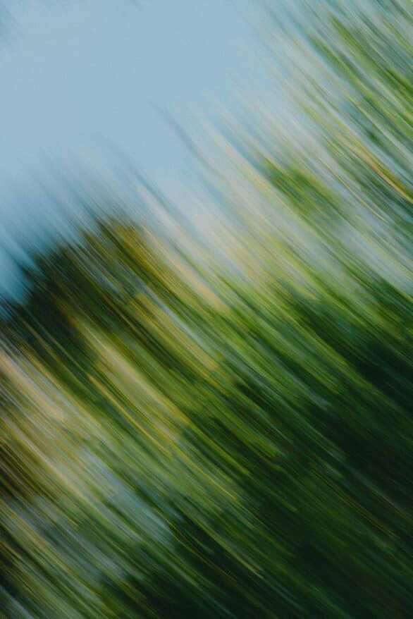 home naturaleza home naturaleza